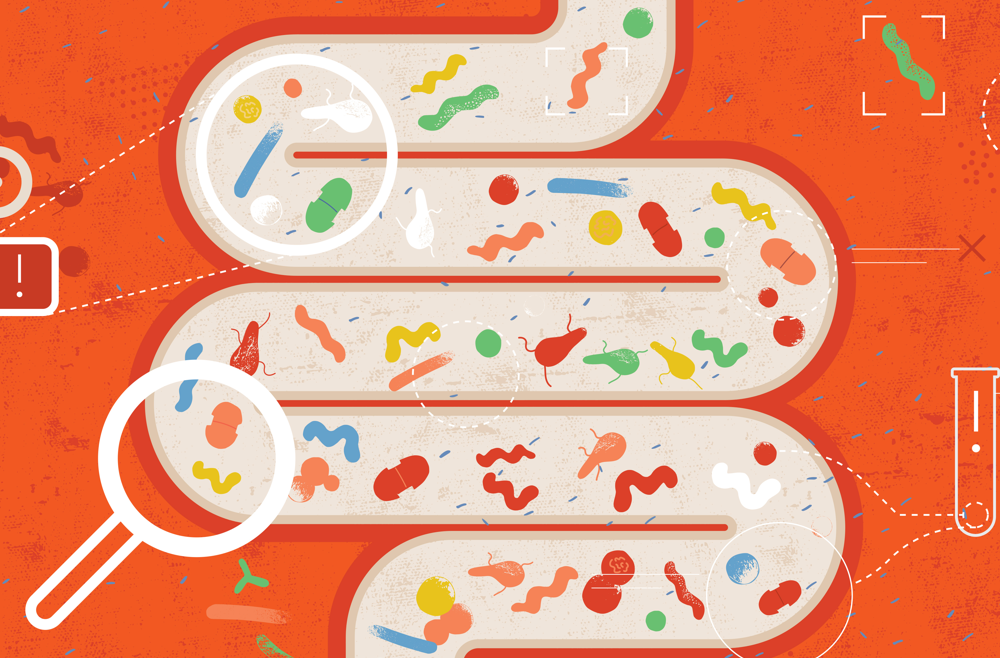 A digital illustration of a gut microbiome